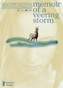 Poster of Memoir of a veering storm